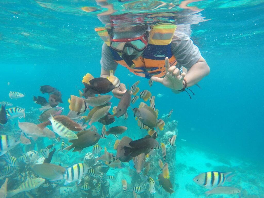 a man in a diving mask is surrounded by fish